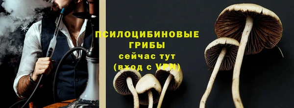 МДМА Каменка