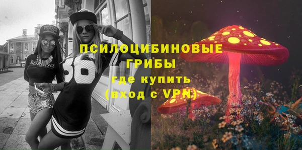 МДМА Каменка
