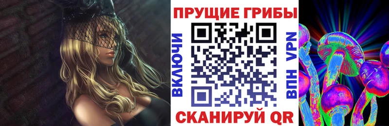 наркота Холмск Псилоцибиновые грибы MAGIC MUSHROOMS