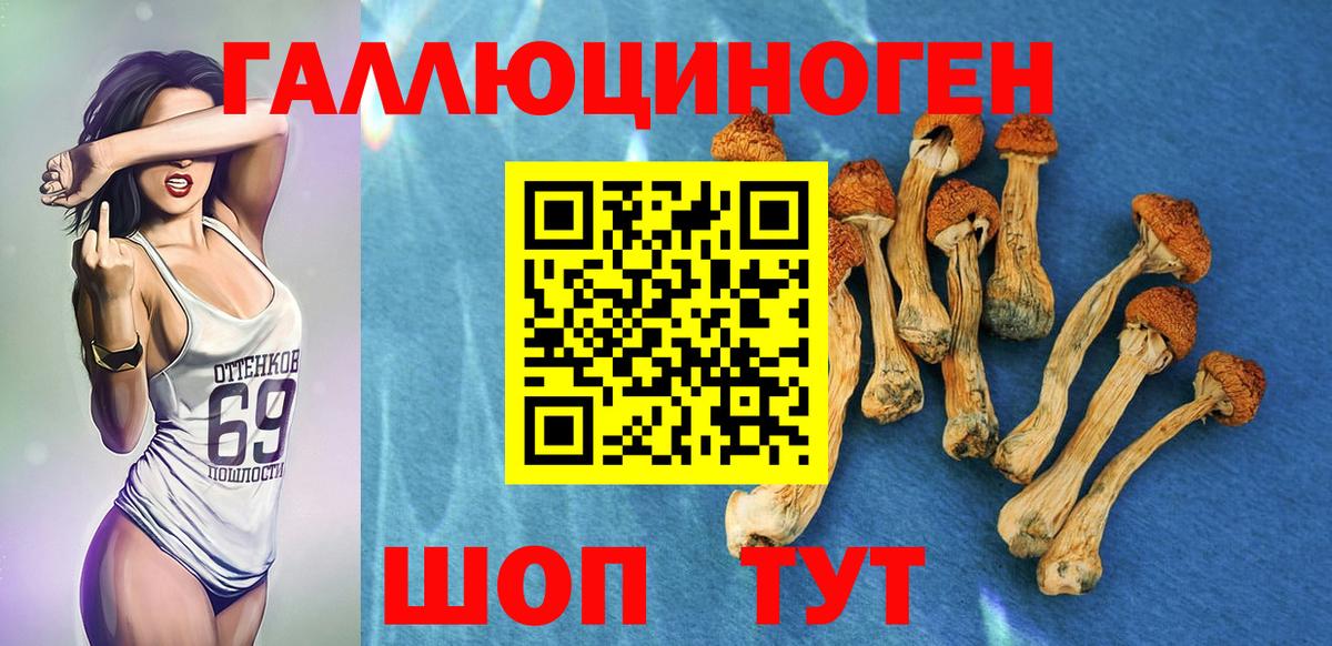 Холмск  Галлюциногенные грибы прущие грибы  Вход с VPN 