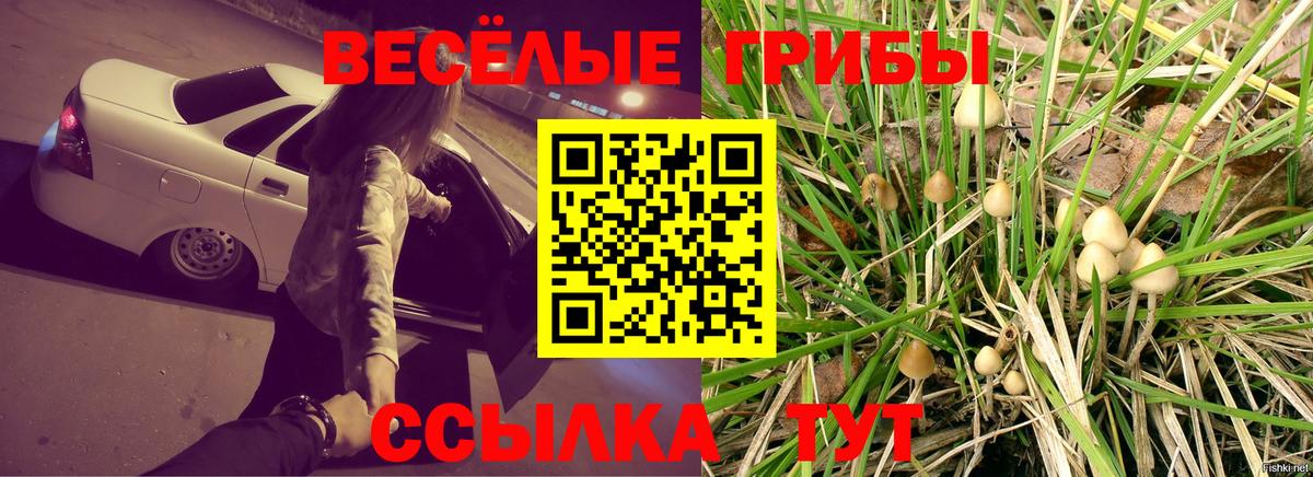 Галлюциногенные грибы ЛСД Холмск